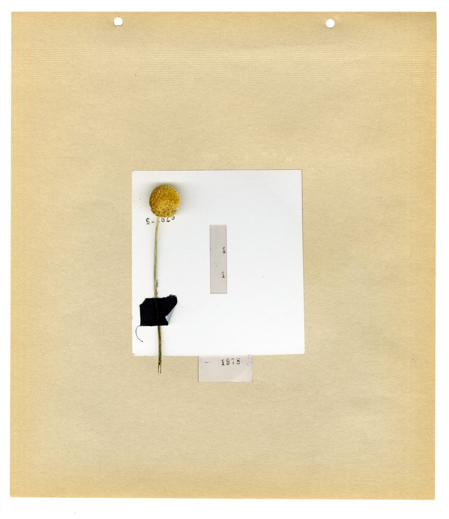 collage 1, paper, 12x14"