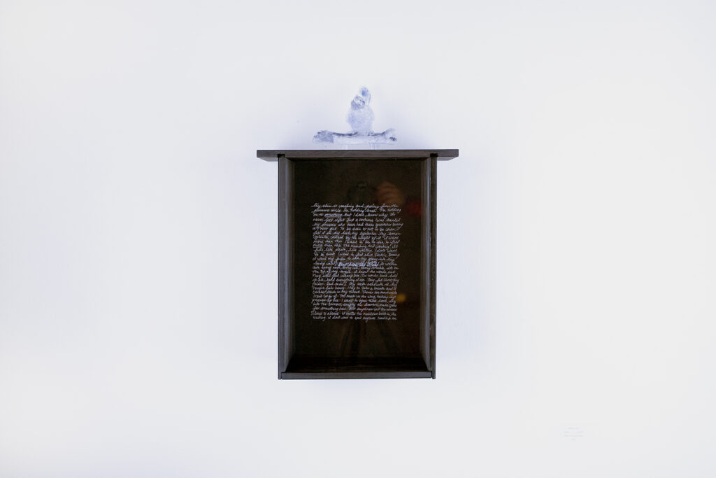 Melanie Jones, "Visible/_______/Invisible", Wood, Plexiglass, Lights, 2026