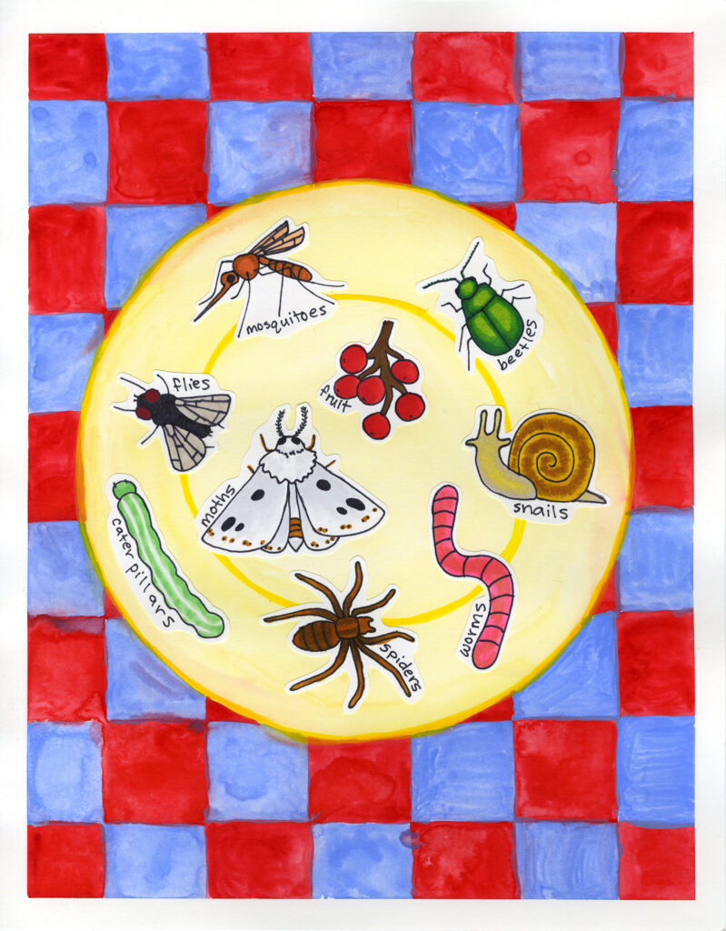 Piper Hornall, Wiston the Warbler's Story Corner, Mixed media on paper.