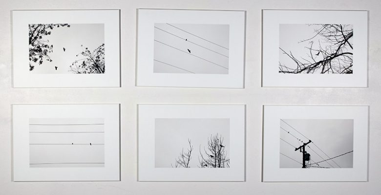 Cobi Timmermans, “To the Birds”, Digital Prints, 2019