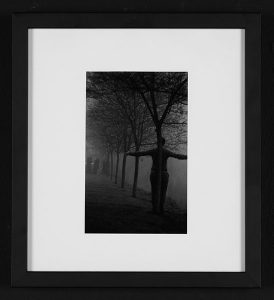 Julie Markgrast, "Person in Tree," Black and white photograph, 13 1/2" x 12 1/4", 2004, Accession number: 2004.002.001