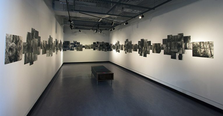 Deb Silver, "Their Words Echo Through My Core", Silver Gelatin and RC prints, 2018