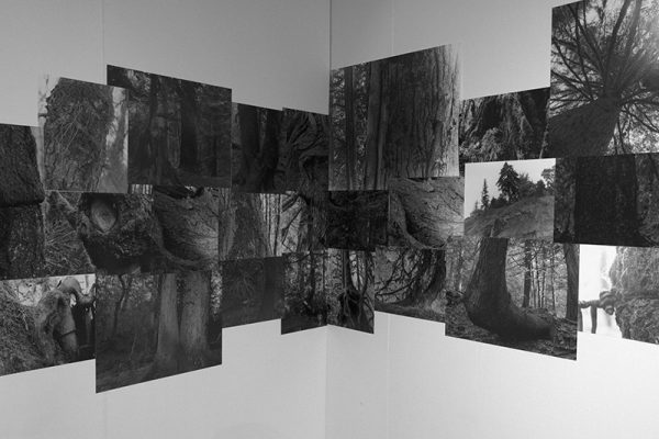 Deb Silver, "Their Words Echo Through My Core", Silver Gelatin and RC prints, 2018