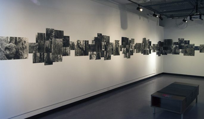 Deb Silver, "Their Words Echo Through My Core", Silver Gelatin and RC prints, 2018