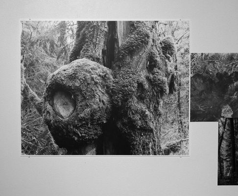 Deb Silver, "Their Words Echo Through My Core", Silver Gelatin and RC prints, 2018