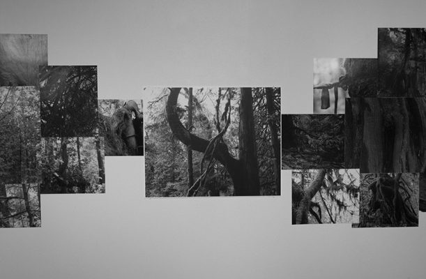 Deb Silver, "Their Words Echo Through My Core", Silver Gelatin and RC prints, 2018