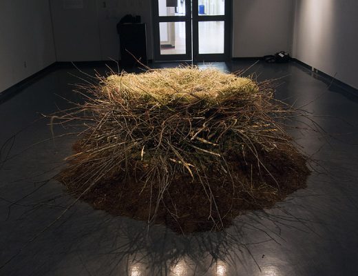 Willow Mussell, "Smìmelehollhála", Mixed Media, 2018