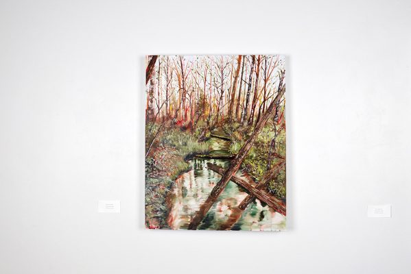 Trish Sandover-Best –Swamp Area 4km, Oil Paint on Canvas, 30x40"