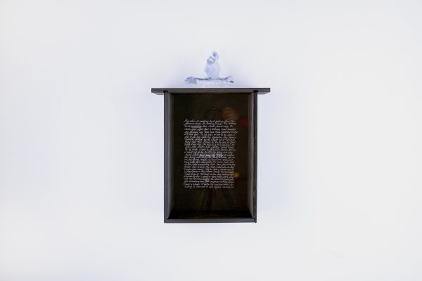 Melanie Jones, "Visible/_______/Invisible", Wood, Plexiglass, Lights, 2026